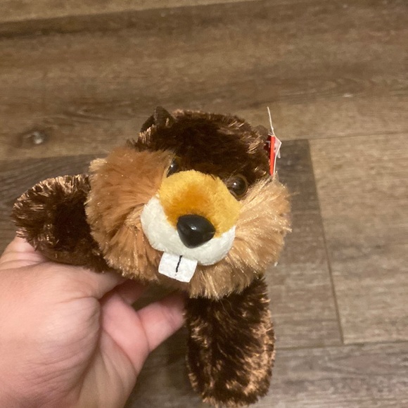 Other - Aurora‎ beaver builder